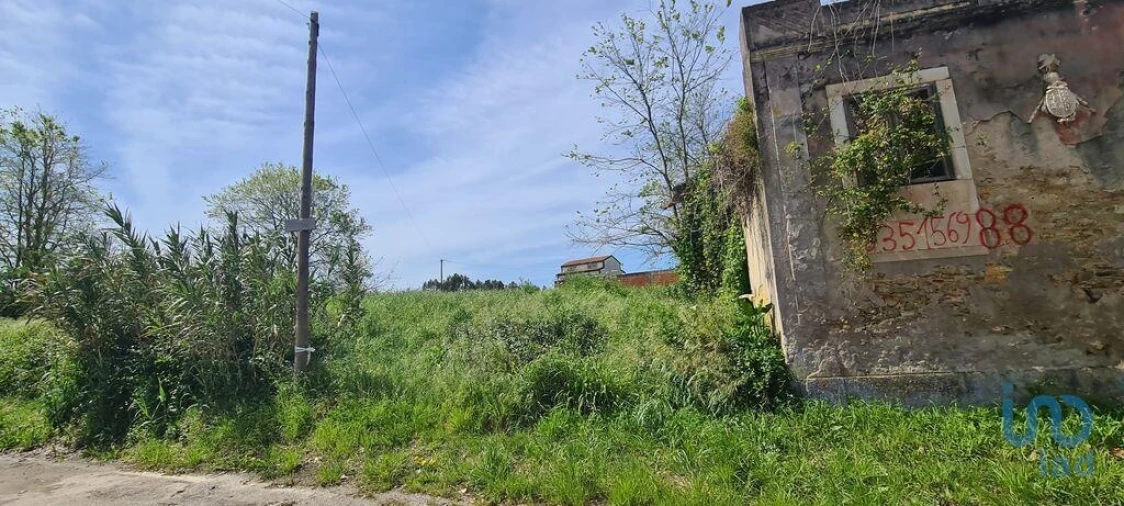 Terreno para Venda em Santo Andre de Vagos Foto 8