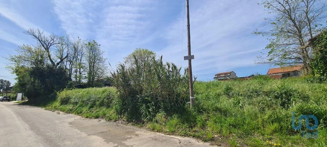 Terreno para Venda em Santo Andre de Vagos Foto 3