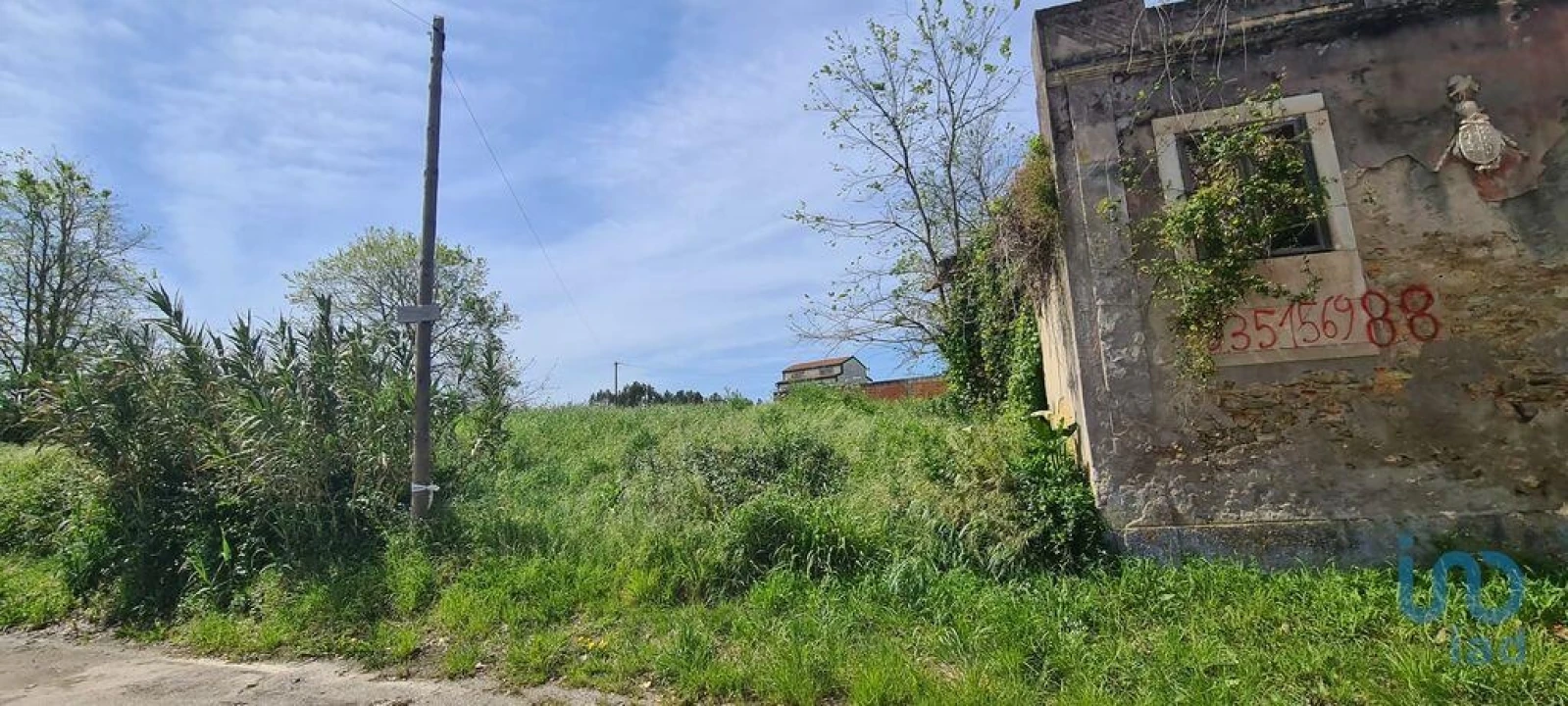 Terreno para Venda em Santo Andre de Vagos Foto 8