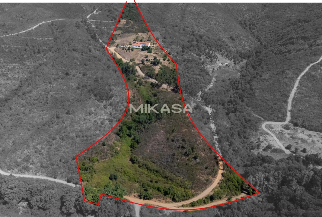 Moradia T2 para Venda em Marmelete Foto 43