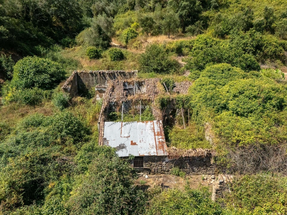 Terreno Agricola ou Rústico para Venda em Monchique Foto 8