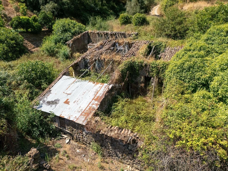 Terreno Agricola ou Rústico para Venda em Monchique Foto 9