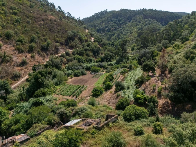 Terreno Agricola ou Rústico para Venda em Monchique Foto 10