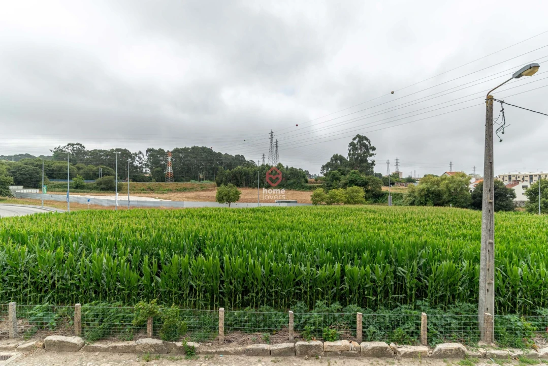 Terreno para Venda em Custoias Foto 6