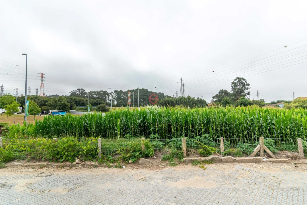 Terreno para Venda em Custoias Foto 3