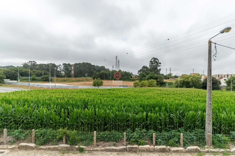 Terreno para Venda em Custoias Foto 6