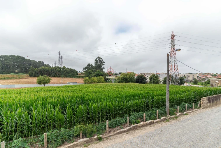 Terreno para Venda em Custoias Foto 5