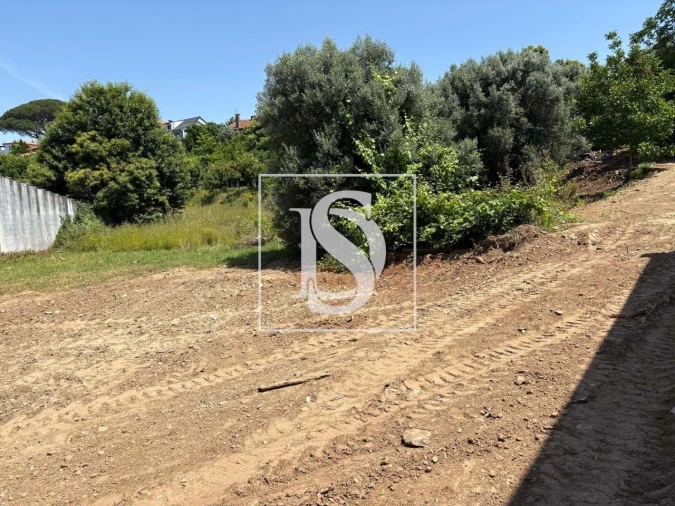 Terreno para Venda em Arca e Ponte de Lima Foto 11