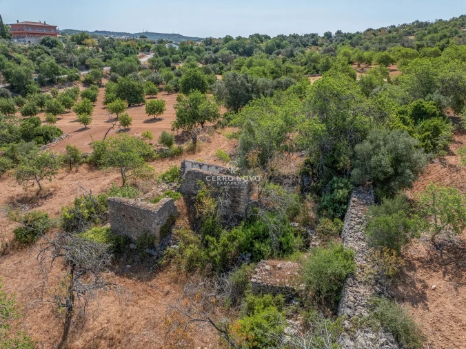 Terreno para Venda em Boliqueime Foto 5