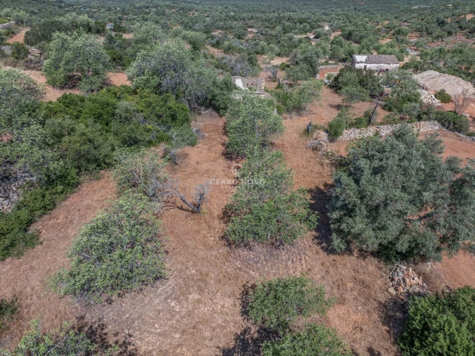Terreno para Venda em Boliqueime Foto 8