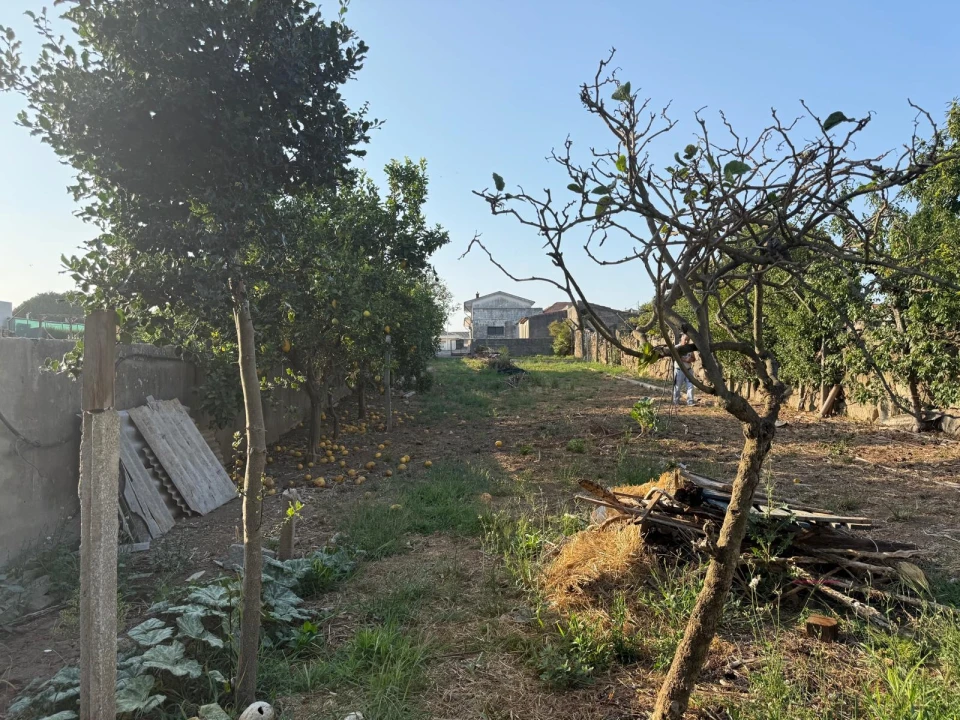 Prédio para Venda em Madalena Foto 3