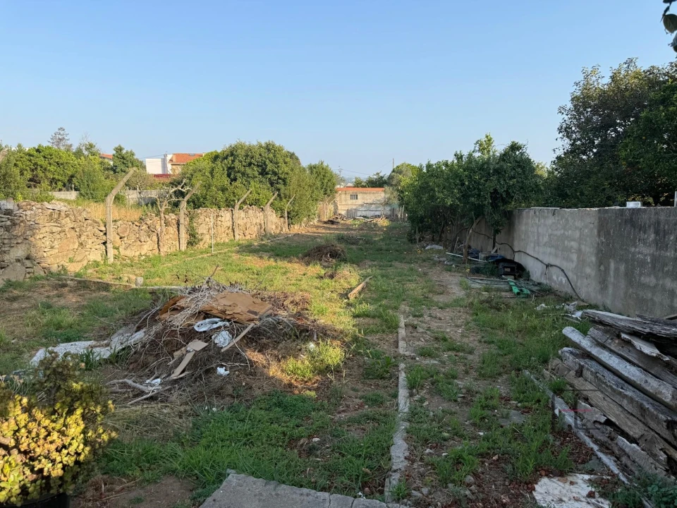 Prédio para Venda em Madalena Foto 4