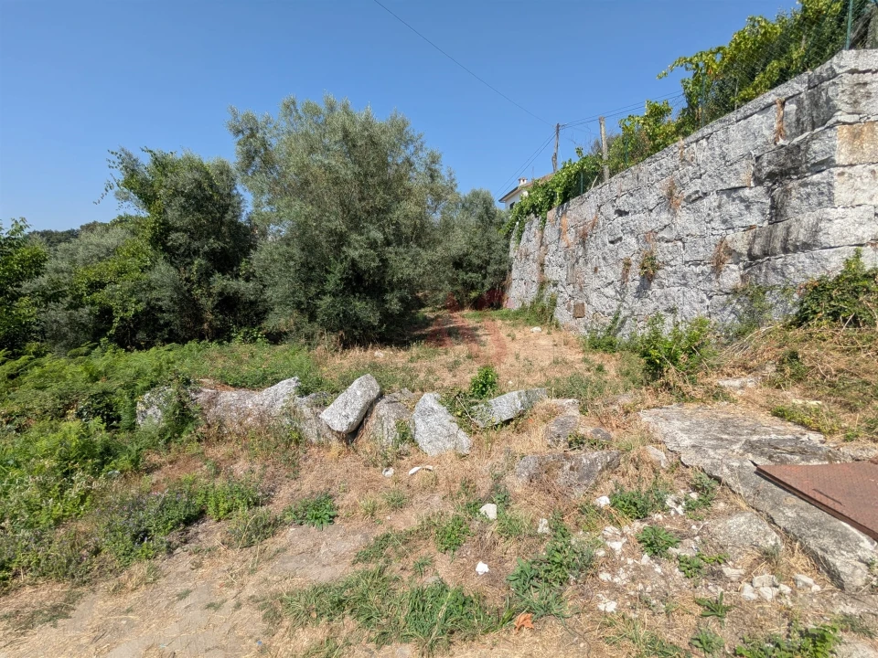 Terreno para Venda em Travassos Foto 3