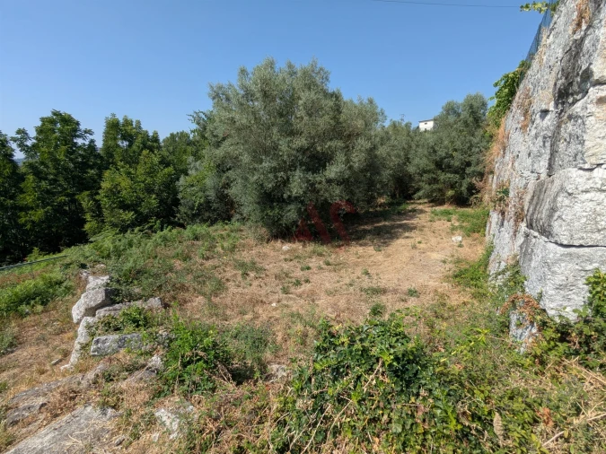 Terreno para Venda em Travassos Foto 1