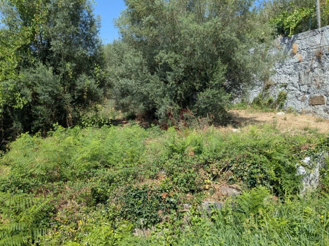 Terreno para Venda em Travassos Foto 5