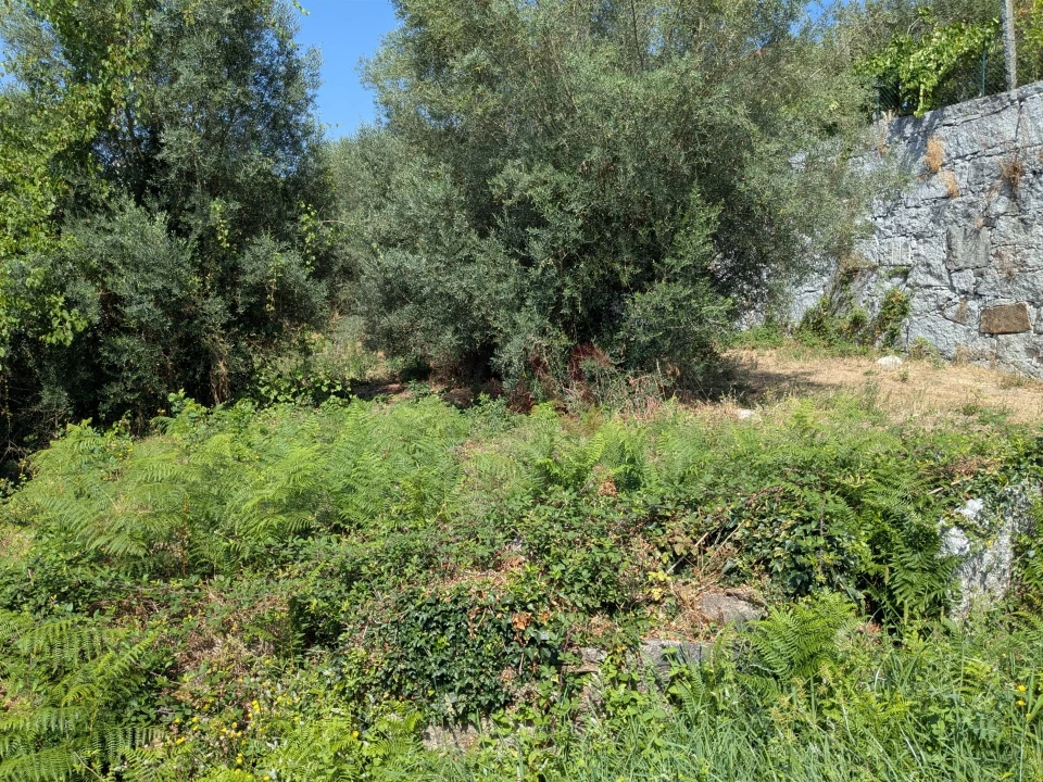 Terreno para Venda em Travassos Foto 5