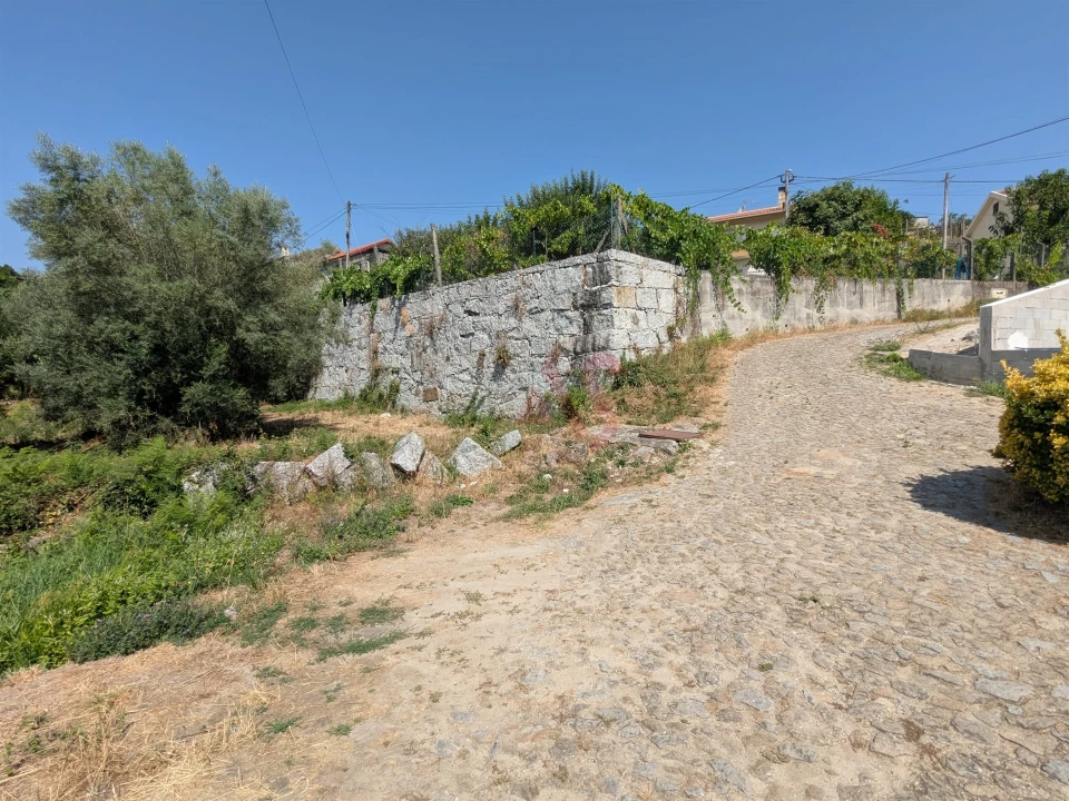 Terreno para Venda em Travassos Foto 2