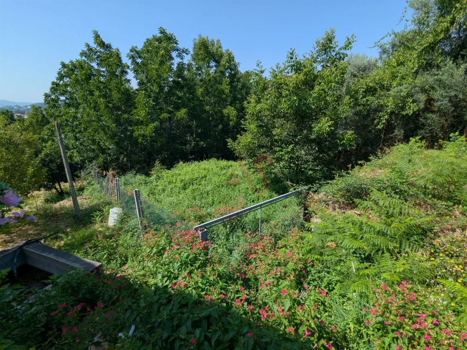Terreno para Venda em Travassos Foto 5