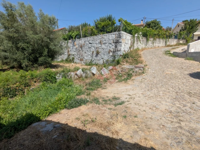 Terreno para Venda em Travassos Foto 6