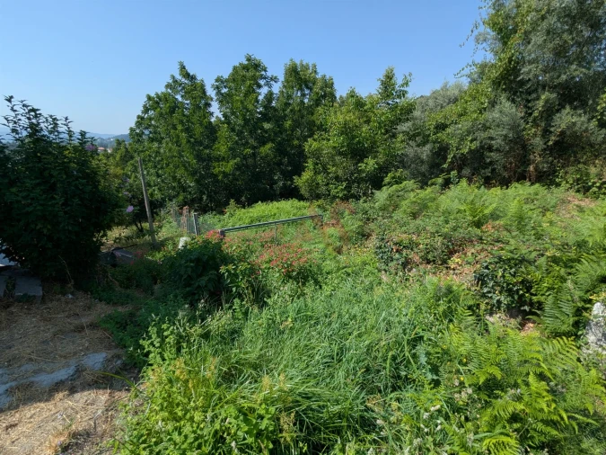 Terreno para Venda em Travassos Foto 1