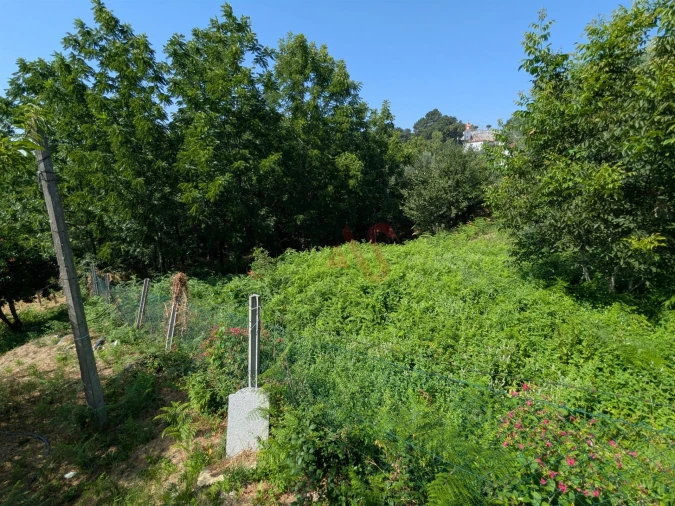 Terreno para Venda em Travassos Foto 2