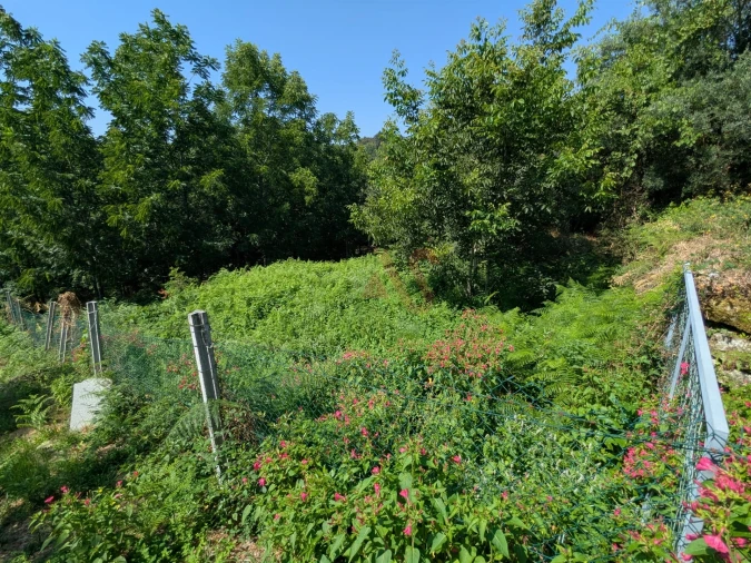 Terreno para Venda em Travassos Foto 4