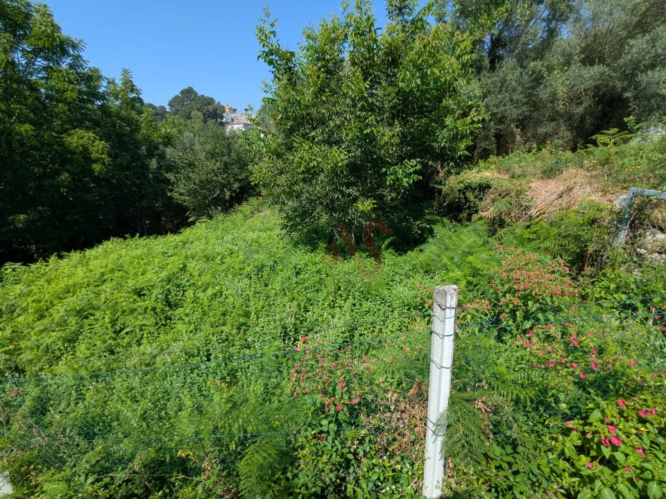 Terreno para Venda em Travassos Foto 3
