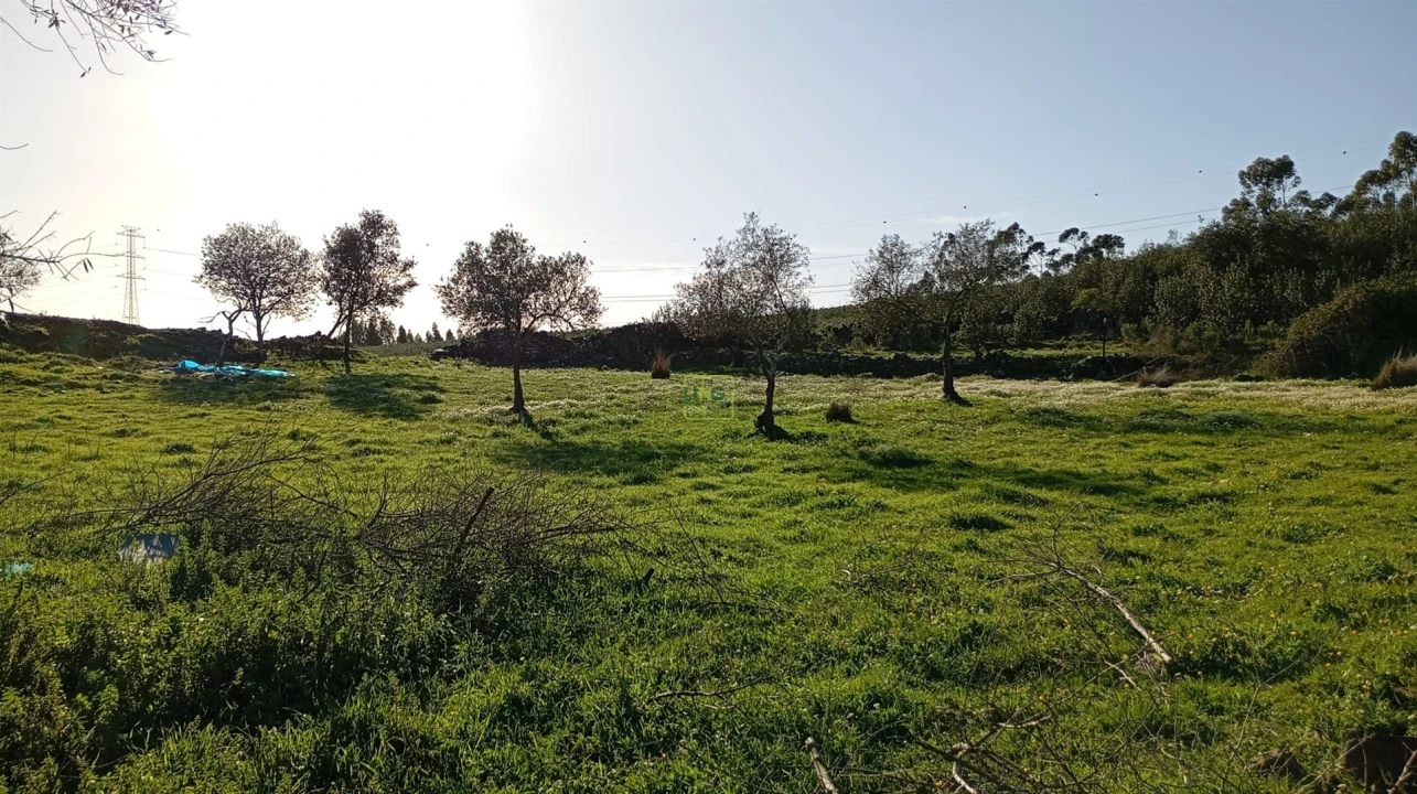 Quinta T0 para Venda em Fratel Foto 16