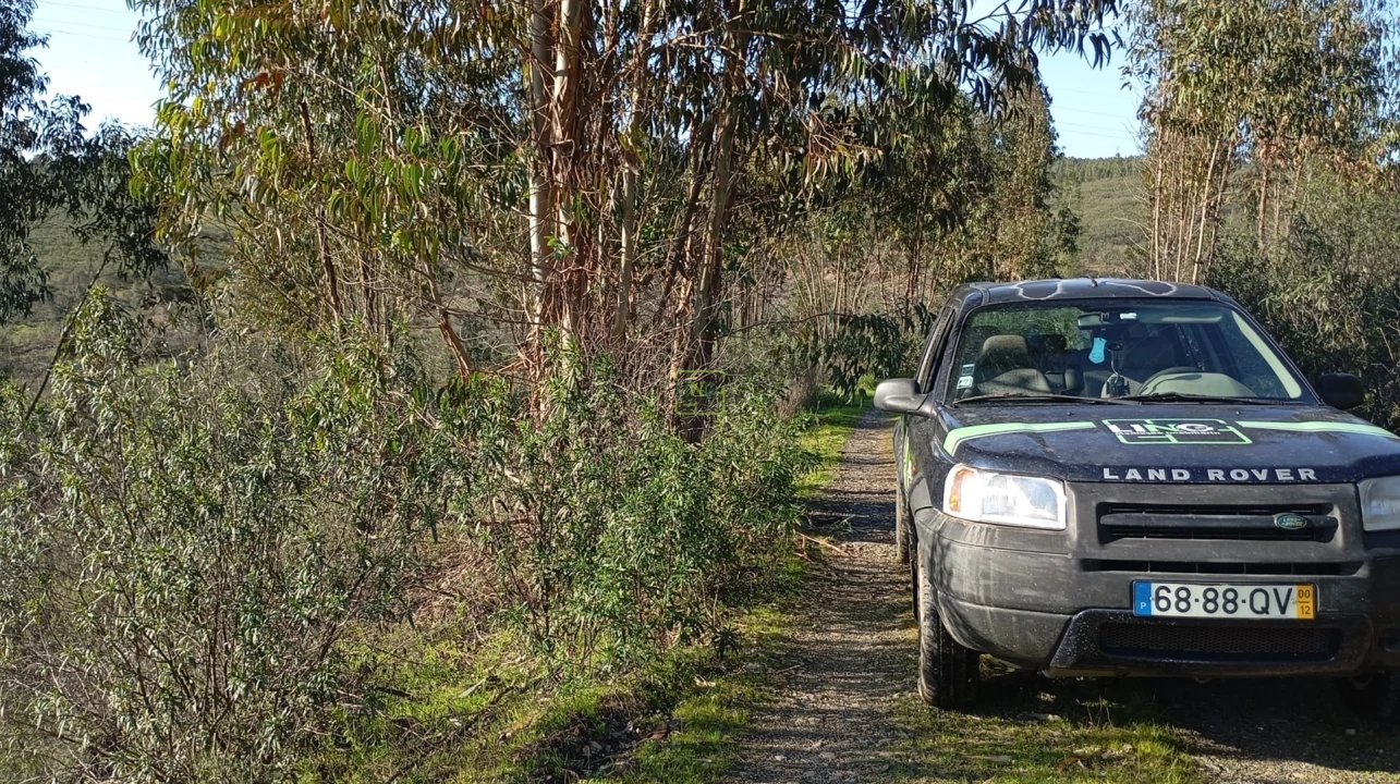 Quinta T0 para Venda em Fratel Foto 9