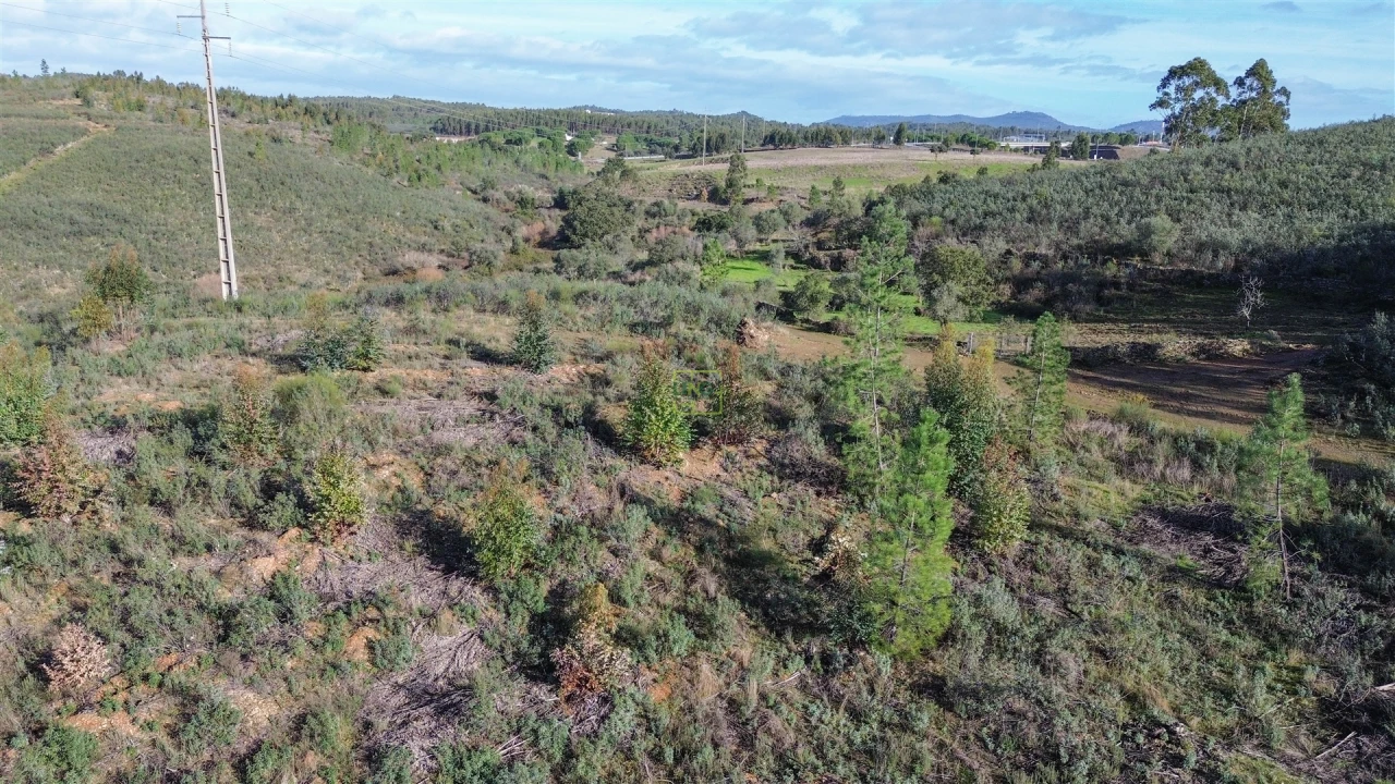 Quinta T0 para Venda em Fratel Foto 18