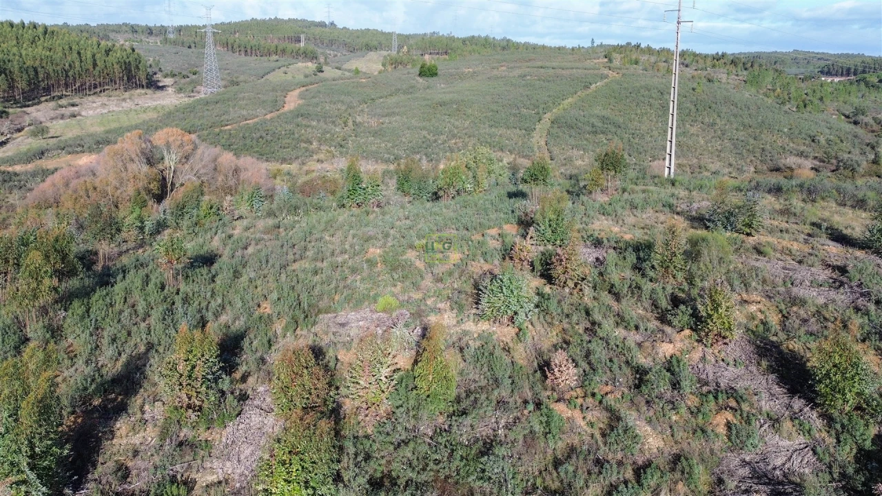 Quinta T0 para Venda em Fratel Foto 19