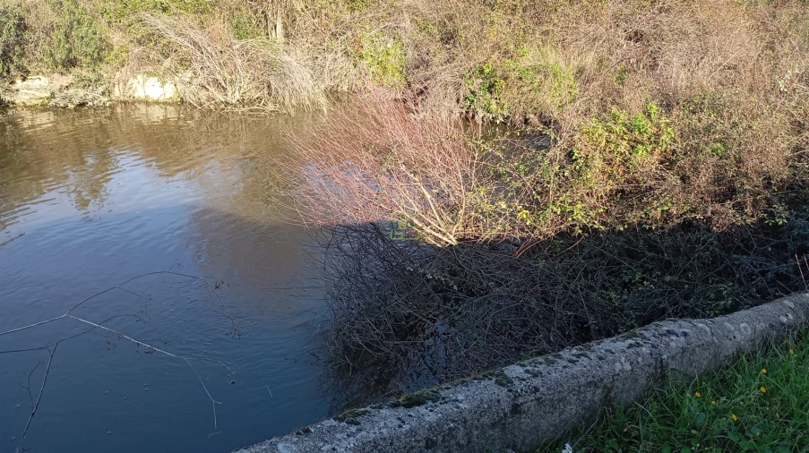 Quinta T0 para Venda em Fratel Foto 13