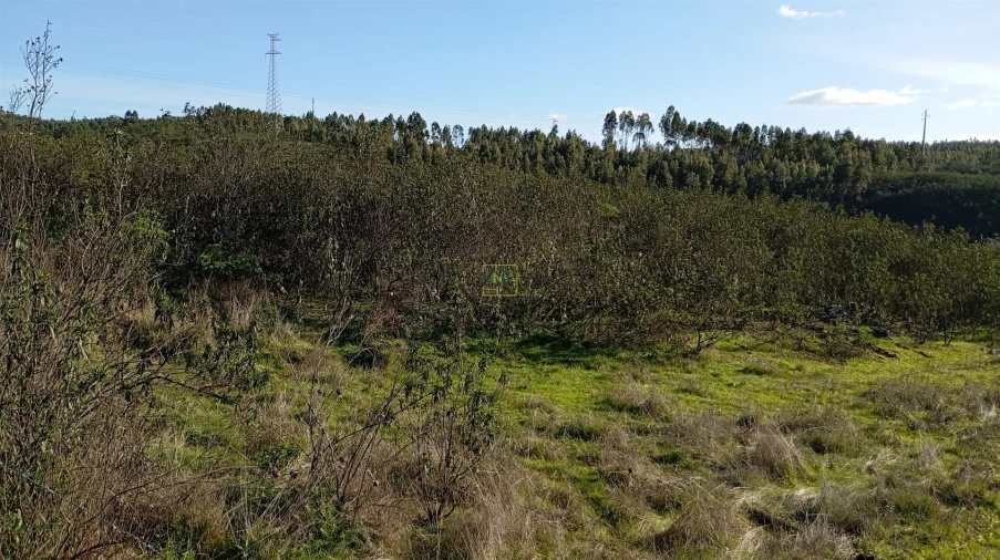 Quinta T0 para Venda em Fratel Foto 22