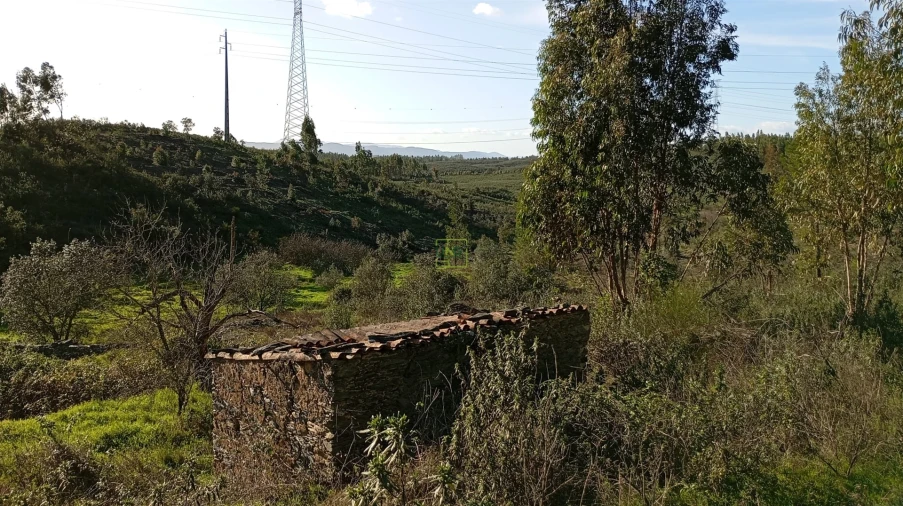 Quinta T0 para Venda em Fratel