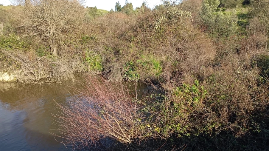 Quinta T0 para Venda em Fratel Foto 12