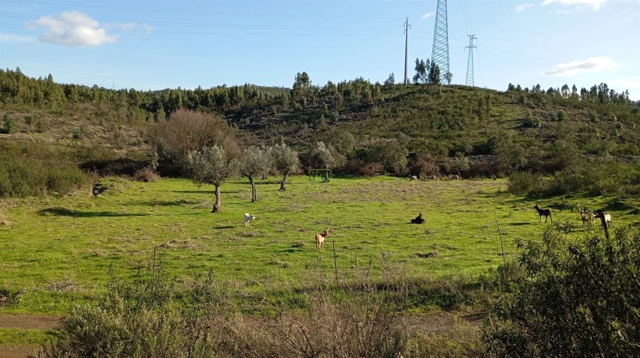 Quinta T0 para Venda em Fratel Foto 19