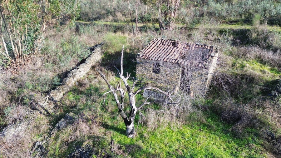 Quinta T0 para Venda em Fratel Foto 12