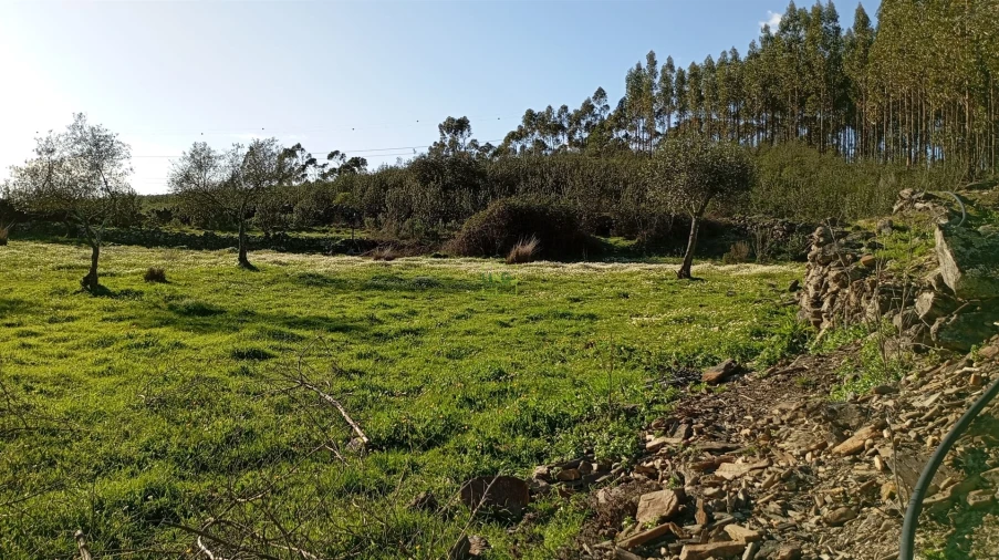Quinta T0 para Venda em Fratel Foto 17