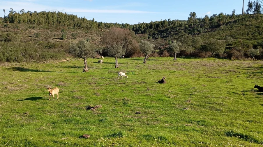 Quinta T0 para Venda em Fratel Foto 3