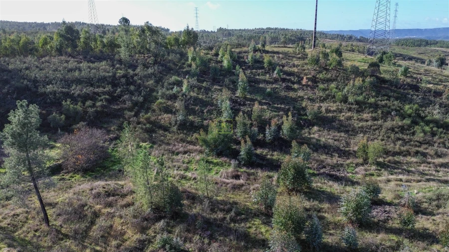 Quinta T0 para Venda em Fratel Foto 21