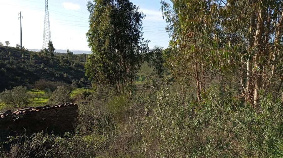 Quinta T0 para Venda em Fratel Foto 8