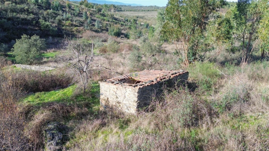 Quinta T0 para Venda em Fratel Foto 11