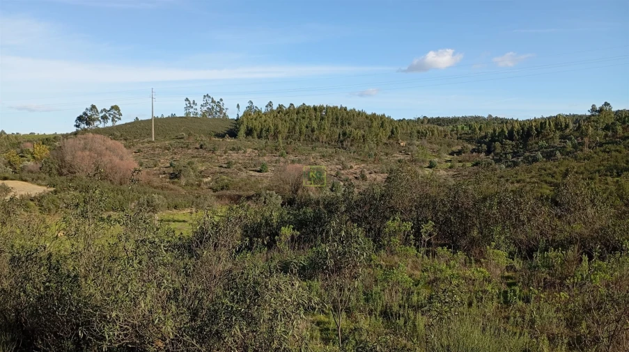 Quinta T0 para Venda em Fratel Foto 20