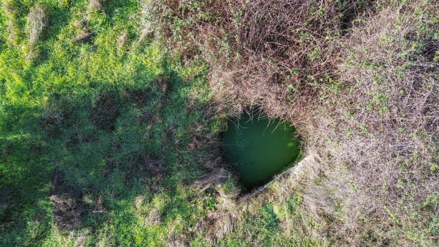 Quinta T0 para Venda em Fratel Foto 14