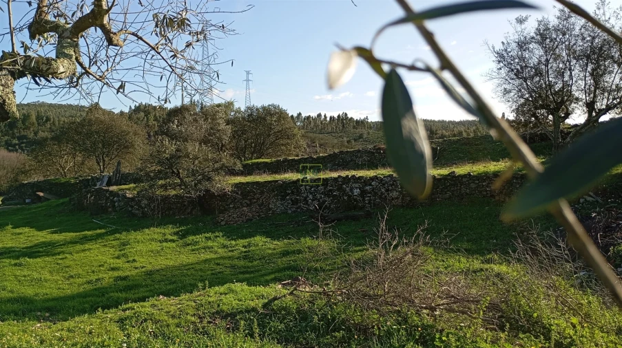 Quinta T0 para Venda em Fratel Foto 15