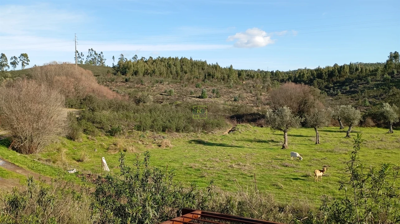 Quinta T0 para Venda em Fratel Foto 2