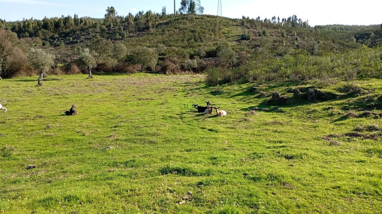 Quinta T0 para Venda em Fratel Foto 4