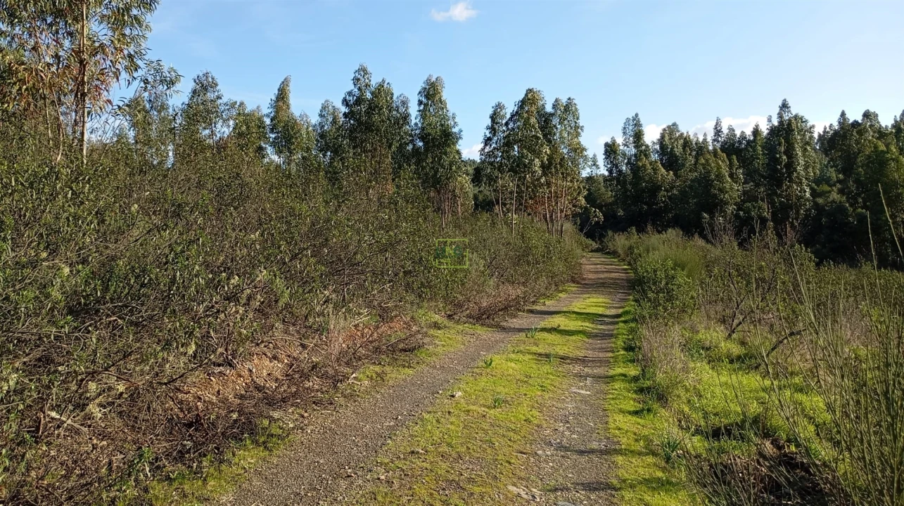 Quinta T0 para Venda em Fratel Foto 7