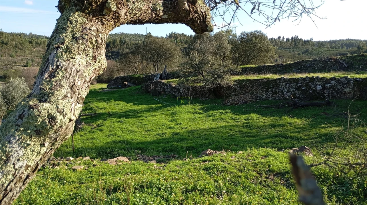 Quinta T0 para Venda em Fratel Foto 14