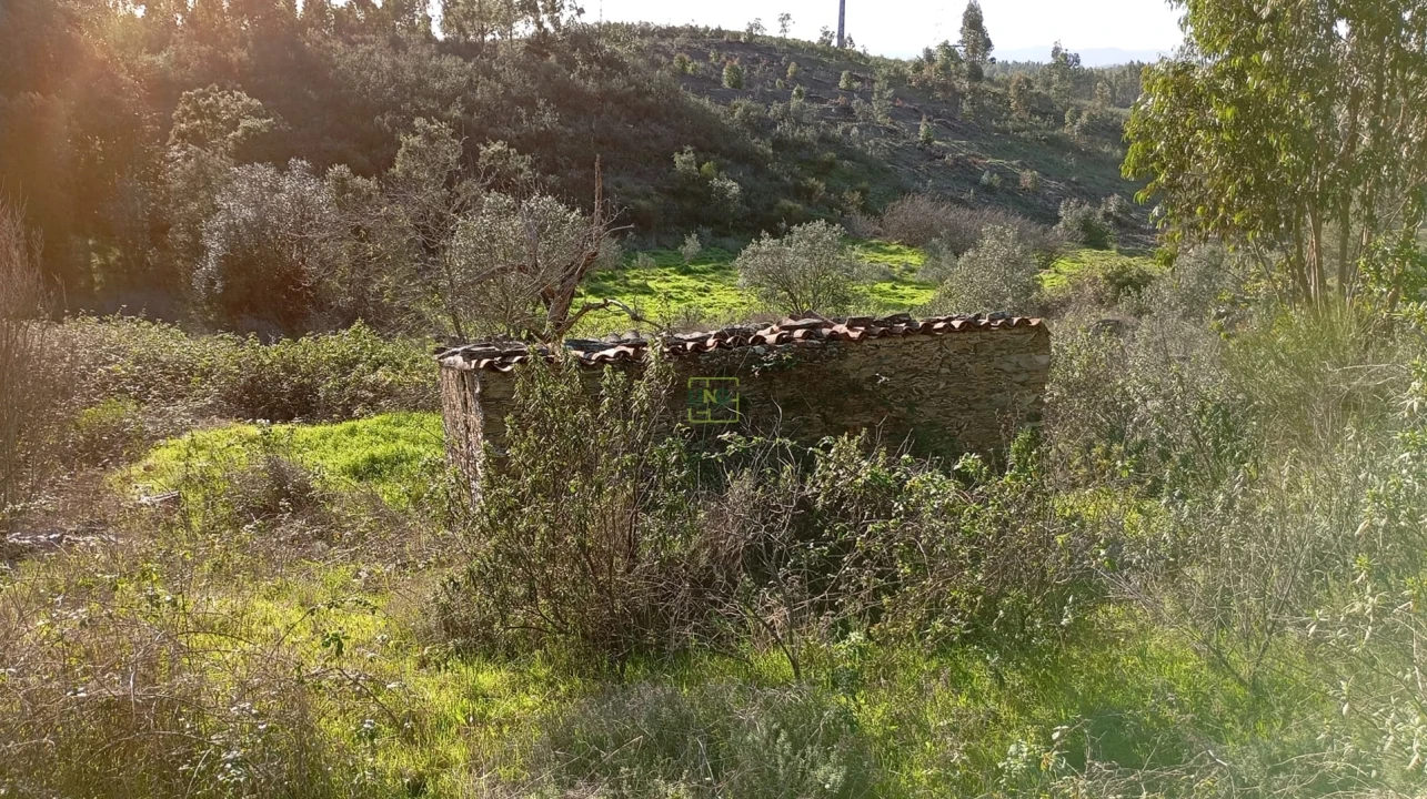 Quinta T0 para Venda em Fratel Foto 6